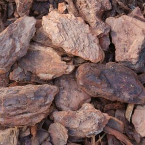 Jumbo pine bark nuggets used as long-lasting decorative mulch in landscaping beds in Alpharetta and Cumming, GA