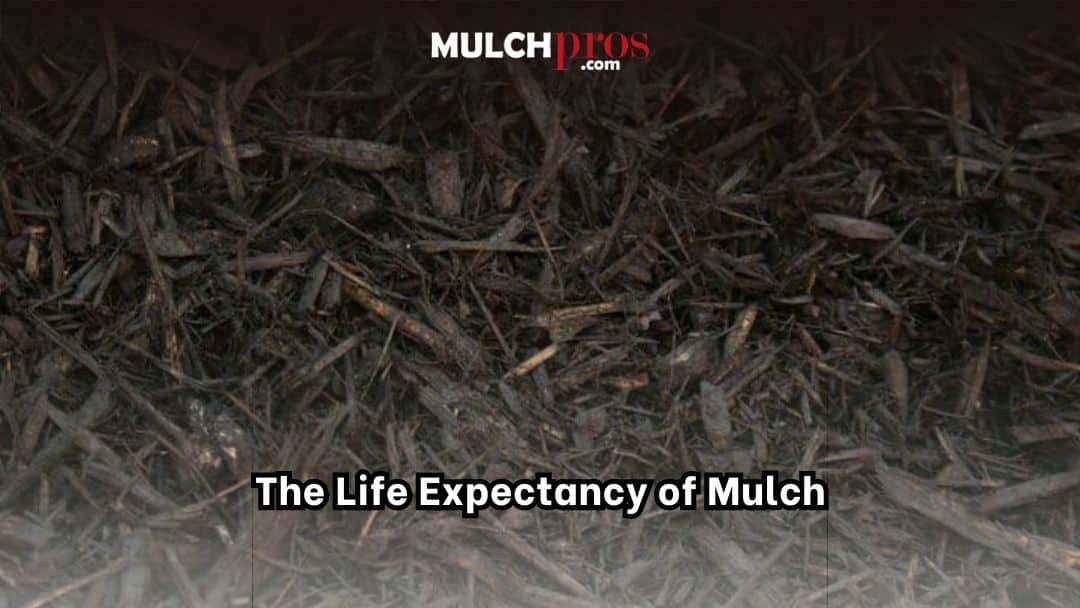 The Life Expectancy of Mulch