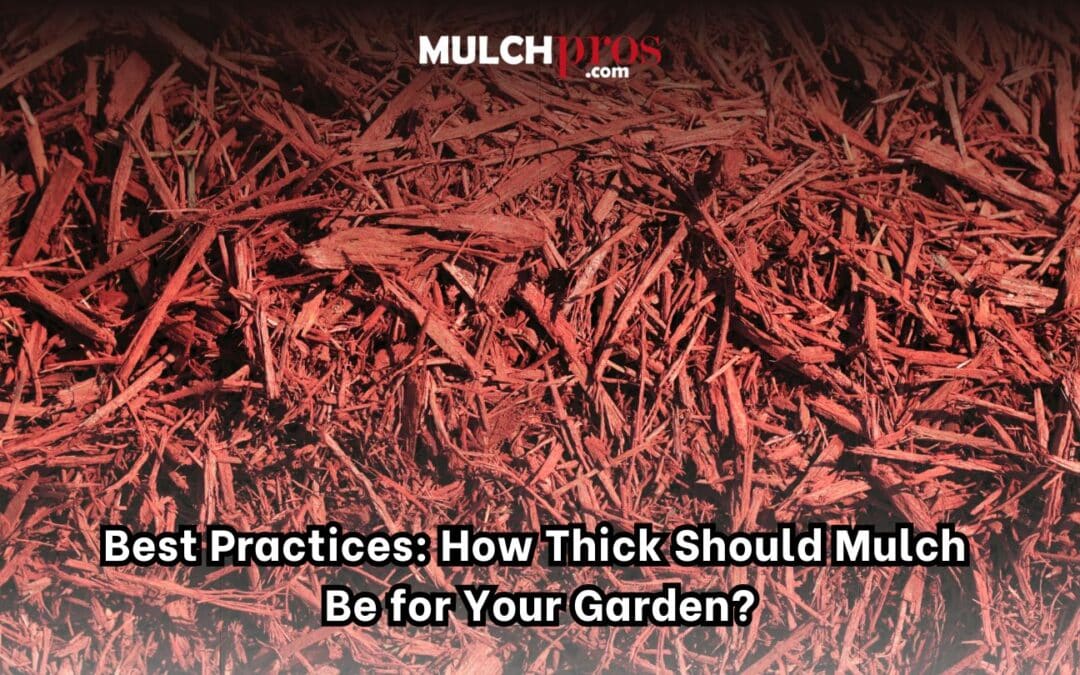 Best Practices: How Thick Should Mulch Be for Your Garden?
