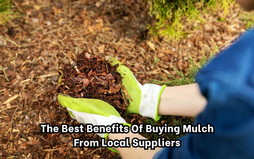 The Best Benefits of Buying Mulch from Local Suppliers