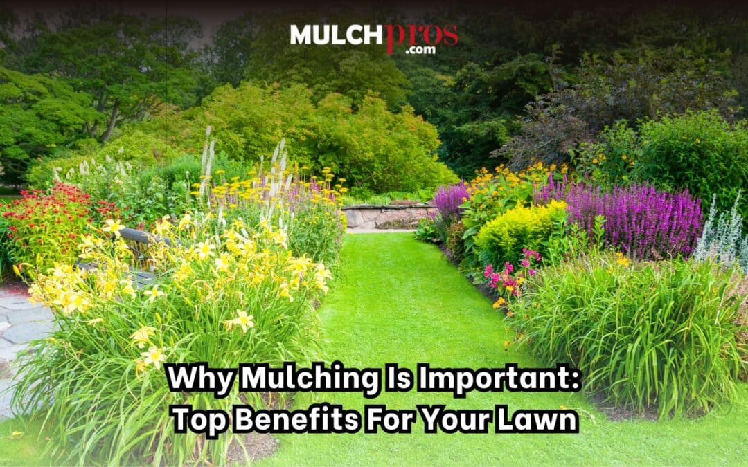 Why Mulching Is Important: Top Benefits for Your Lawn