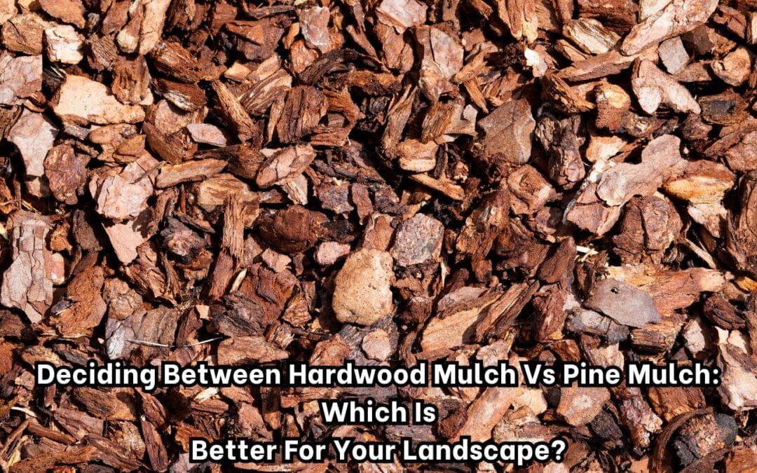 Deciding Between Hardwood Mulch vs Pine Mulch: Which Is Better for Your Landscape?